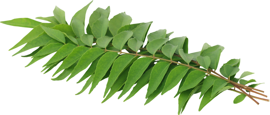 Curry Leaves