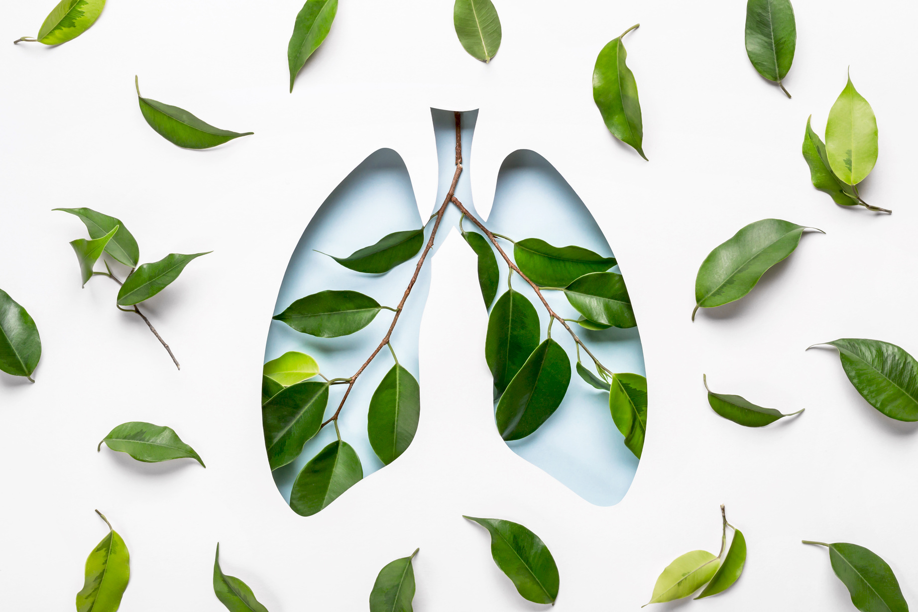 Paper Cutout of Lungs with Green Leaves