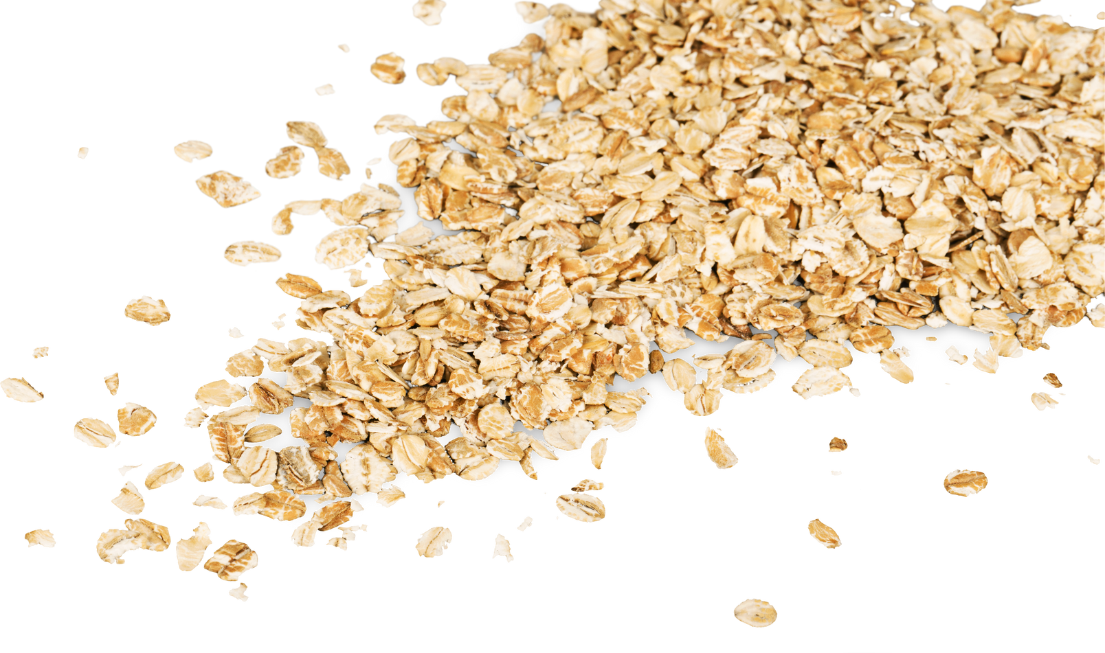 Oatmeal Breakfast Grains Isolated